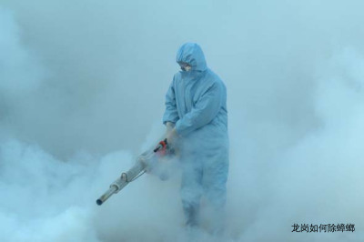 龙岗如何除蟑螂