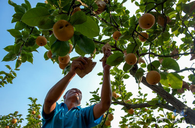 拉萨有哪些地方好玩