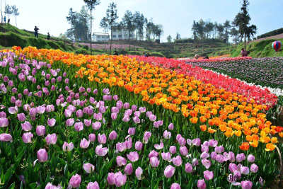 昆明旅游线路推荐